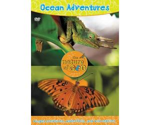 Ocean Adventures Winged Creatures, Waterfalls, and Wild Reptiles