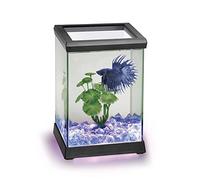 Ocean Free AT619A Kit Betta Space Led, Nero