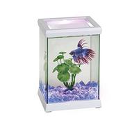 Ocean Free BettaSpace - Acquario a forma di cubo con illuminazione a LED