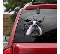 Ocean Gift Boston Terrier, adesivi per auto, confezione da 2 pezzi, realistici adesivi per auto, serie 22, dimensioni 20,3 x 20,3 cm