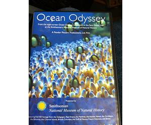 Ocean Odyssey. From the eight-screen Ocean Odyssey installation in the Sant Ocean Hall at the Smithsonian's National Museum of Natural History.