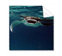 Ocean Ray skate Science Nature Picture occhiali panno di pulizia Gift Phone Screen Cleaner 5PCS