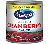 Ocean Spray - Salsa di mirtilli rossi, 8 oz (confezione da 4)