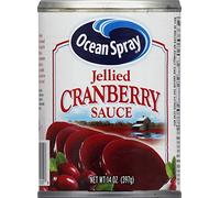 OCEAN SPRAY SALSA DI MIRTILLI ROSSI IN GELATINA - 397g / 14oz