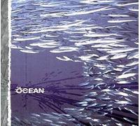 Ocean,the - Fluxion