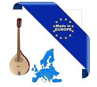 OCTAVE MANDOLIN BOUZOUKI SCALA CORTA MADE IN EUROPE MANDOLINO OTTAVA BASSA IN MASSELLO TOP ABETE E ACERO FONDO FASCE MANICO SCALA 584mm