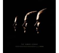 Octopus by The Human League