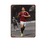 ocvdfss Zlatan Ibrahimovic - Targa in metallo, stile retrò, decorazione da parete per bar, grotte, bar, famiglia, garage, 30 x 40 cm