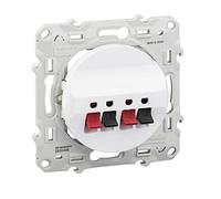 Odace, Presa per altoparlanti, 2 uscite,