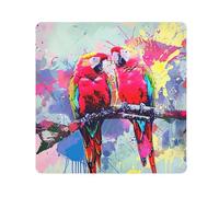 ODAWA Panni autoadesivi colorati per pittura pappagalli 55 x 55 cm magici autoadesivi panno protettivo per fotocamera e obiettivo