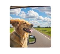 ODAWA Panno autoadesivo 45 x 45 cm cane che si gode la guida in auto custodia protettiva per macchina fotografica portatile borsa cosmetica per viaggiare