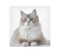 ODAWA Panno autoadesivo 45 x 45 cm stampa animale domestico a pelo lungo gatto copertura protettiva borsa cosmetica portatile per viaggi