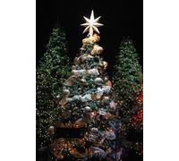 Odds and Ends (Christmas Stories)