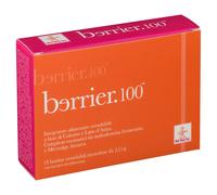 Odelfe BERRIER 100 14 BUSTINE DA 2 G BIO-KEY