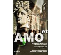 Odi et amo. Ambiguità percettive e pensiero quantistico