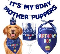 Odi Style Forniture per feste di compleanno per cani, set di bandana di compleanno per cani, bandana per ragazzi di taglia media, grande, cappello da festa, corona e striscione di compleanno per cani