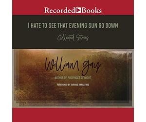 Odio vedere quel sole della sera tramontare: racconti raccolti