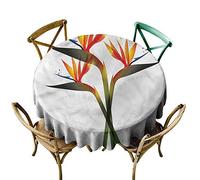 Odissea: un viaggio nella luce