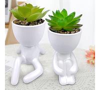 ODIWEN 2 Pezzi Piante Succulente Artificiali, Vaso Piante Artificiali, Artificiali Piante Grasse,Mini Piante Finte,Piccola Pianta da Appartamento Artificiale,Pianta Finta,Piante Artificiali Succulente