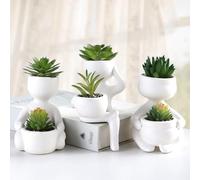 ODIWEN 3 Pezzi Piante Succulente Artificiali, Vaso Piante Artificiali, Artificiali Piante Grasse,Mini Piante Finte,Piccola Pianta da Appartamento Artificiale,Pianta Finta,Piante Artificiali Succulente