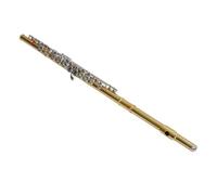 Odorkle Flauto Do 16 Tasti Kit di Strumenti Flauto per Principianti in Ottone con Cuscino per Involucro di Pecora Finitura Lucidata a Mano con Custodia per Studenti Iniziazione Musicale