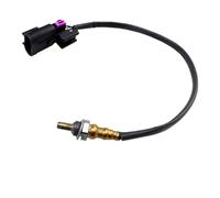 OE 4016021 4013979 28488580 37950H99D00 Sensore Ossigeno Posteriore O2 Per Polaris General 1000 Outlaw 110 Sensore ossigeno