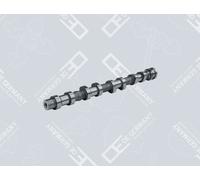 Albero a camme OE GERMANY 01 0500 651000