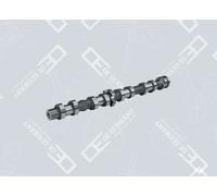 OE Germany 01 0500 651001 Albero a camme