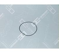 Oe Germany 04 0111 226001 - Guarnizioni