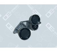 OE Germany 06 2050 XF1052 Tendicinghia, Cinghia Poly-V