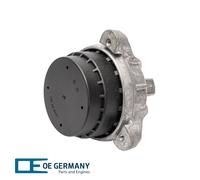 OE Germany 801008 Sospensione, Motore per BMW