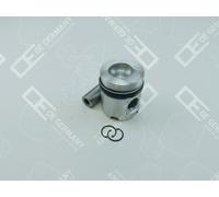 OE Germany Pistone 02233361 02233365 02239260