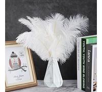 OEBUAFI Piume Piume Bianche Naturali Sfuse per Progetti Artigianali Fai-da-te e Decorazioni per Feste Confezione da 10 Vere, Morbide e Confortevoli (plastica 10)