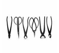 OEBUAFI Set di Attrezzi per Potatura Bonsai, Forbici da Giardino, 6 Pezzi | Per Potatura Rami, Gemme e Radici, Modellare Fili, con Forbici da Taglio 8,6"