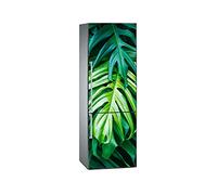 Oedim - Adesivi in Vinile per Frigorifero, Foglia di Giungla, Resistenti e di Facile Applicazione, Adesivi Decorativi dal Design Elegante 200x70cm
