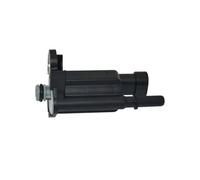 OEM 12573220 12581282 Elettrovalvola for la pulizia del serbatoio del vapore