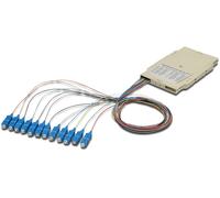Oem Cassetta di Giunzione Attrezzata con 12 Pigtail Fibra Monomodale OS2 SC/APC
