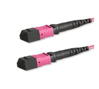 Oem Cavo Patch a 12 Fibre MTP-F/MTP-F OM4 Code B 2 metri