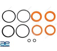 Kit Di Riparazione Cilindro Sterzo OEM Per Trattore Mahindra 000051461D01