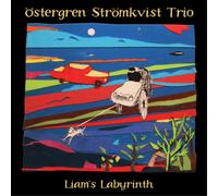 Östergren Strömkvist Trio Liam's Labyrinth (CD) Album