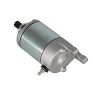 OEXRIGRU Motorino di Avviamento per SMC per ATV per RAM 500 per RAM 520RR per RAM 503 per Canyon 500 per Canyon 520 35800-CGV-00 Motore Motorino Avviamento Elettrico Motorini d'Avviamento