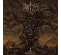 Of Scorched Earth