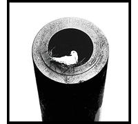 Red Doves Off the Grid (Vinyl LP) 12" Album