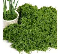 OFFCUP 150g Muschio Stabilizzato Muschio Finto per Decorazioni Muschio Artificiale Muschio Decorativo Lichene Stabilizzato Riutilizzabili per Modellismo Acquari Casa(150g Verde Scuro)