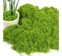 OFFCUP 150g Muschio Stabilizzato Muschio Finto per Decorazioni Muschio Artificiale Muschio Decorativo Lichene Stabilizzato Riutilizzabili per Modellismo Acquari Casa(150g Verde Chiaro)