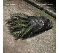 Offermann, Oskar - Do Pilots Still Dream Of Flying?