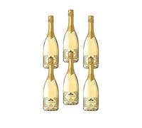 OFFERTA 6 Bottiglie di MILLESIMATO Vino Spumante Extra Dry Garbo