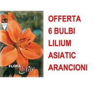 OFFERTA 6 BULBI LILIUM ASIATIC ARANCIONE BULBS BULBES