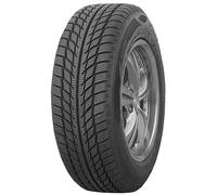 Pneumatici Auto Invernali GOODRIDE SW608 195/55R15 89 H Gomme Nuove