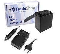 OFFERTA im Set: fotocamera ad alte prestazioni Li-Ion batteria + Batteria Caricabatteria da auto con adattatore per auto per Sony HDR CX di 350ve CX-130E CX 130 CX 130EB CX di 130er CX-130EL CX 130ES